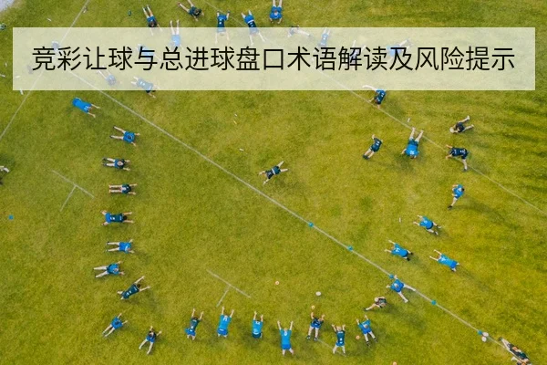 竞彩让球与总进球盘口术语解读及风险提示