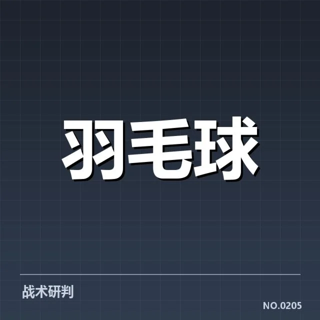 女双战术配合背后，队员协作细节引发多方关注